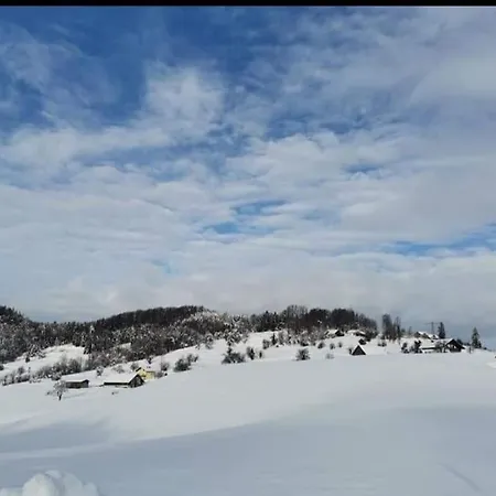 Pocitniska Hisa Maja V Naravi 度假居